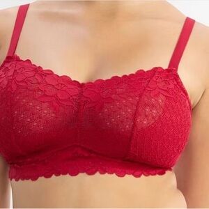 36B Dare Elegant Red Lace Bralette Bra